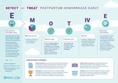 Image of the E-MOTIVE poster