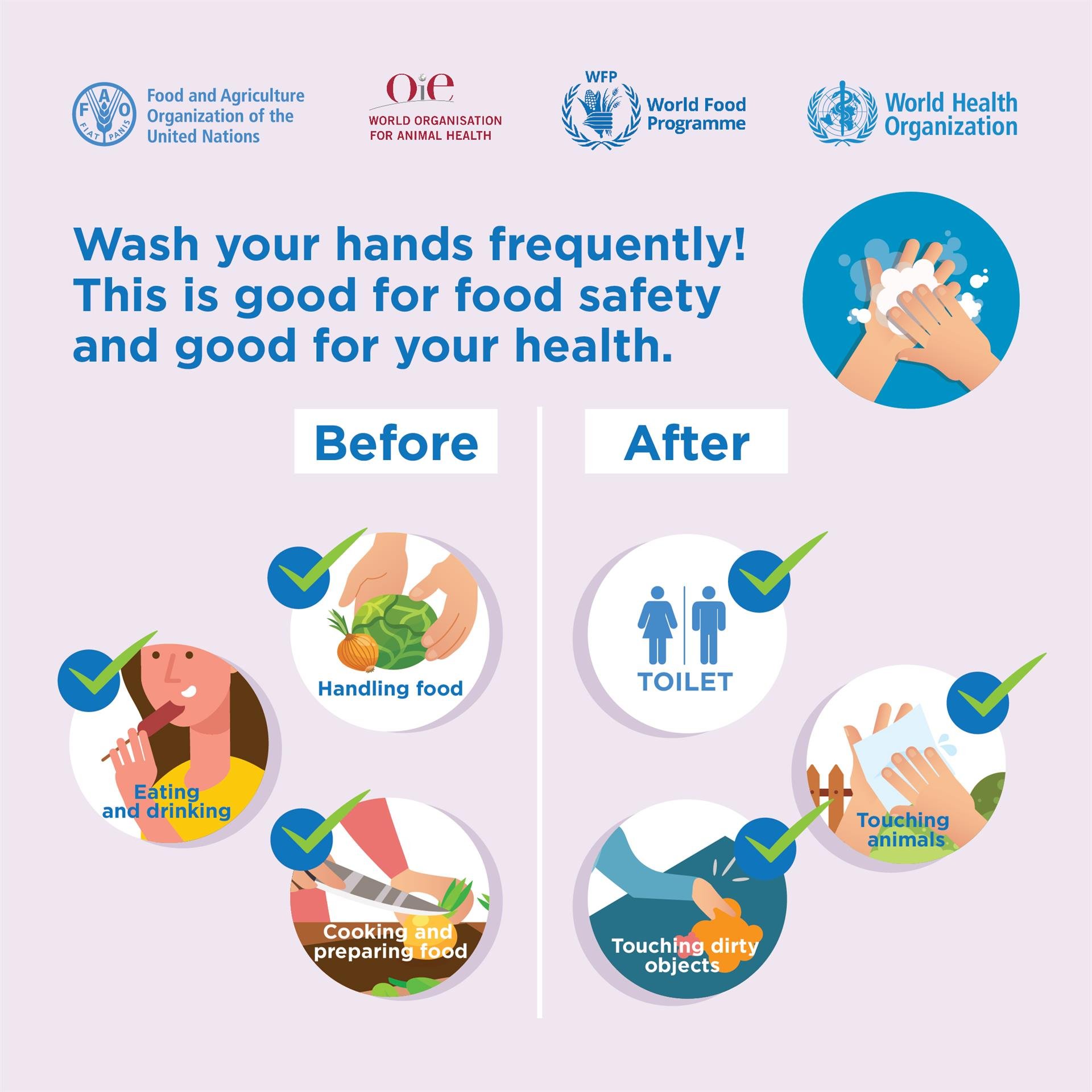 200518_FAO_Social media_Instagram_V19_no3