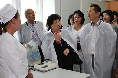 subnational_health_systems1