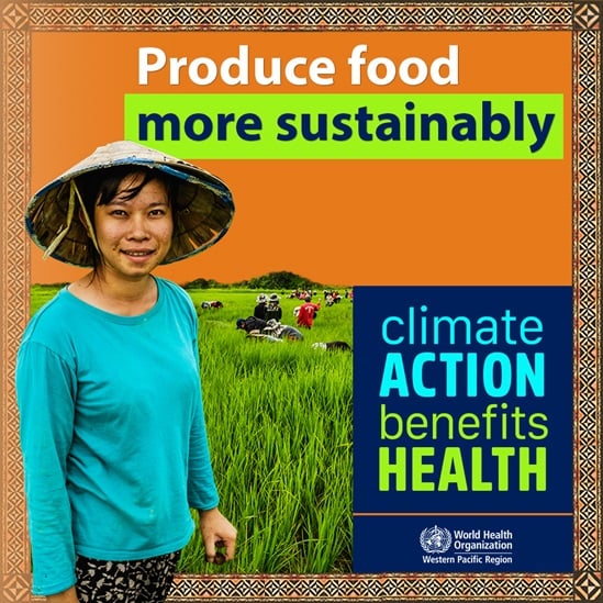 Graphic about sustainable food production with woman wearing hat in a rice field
